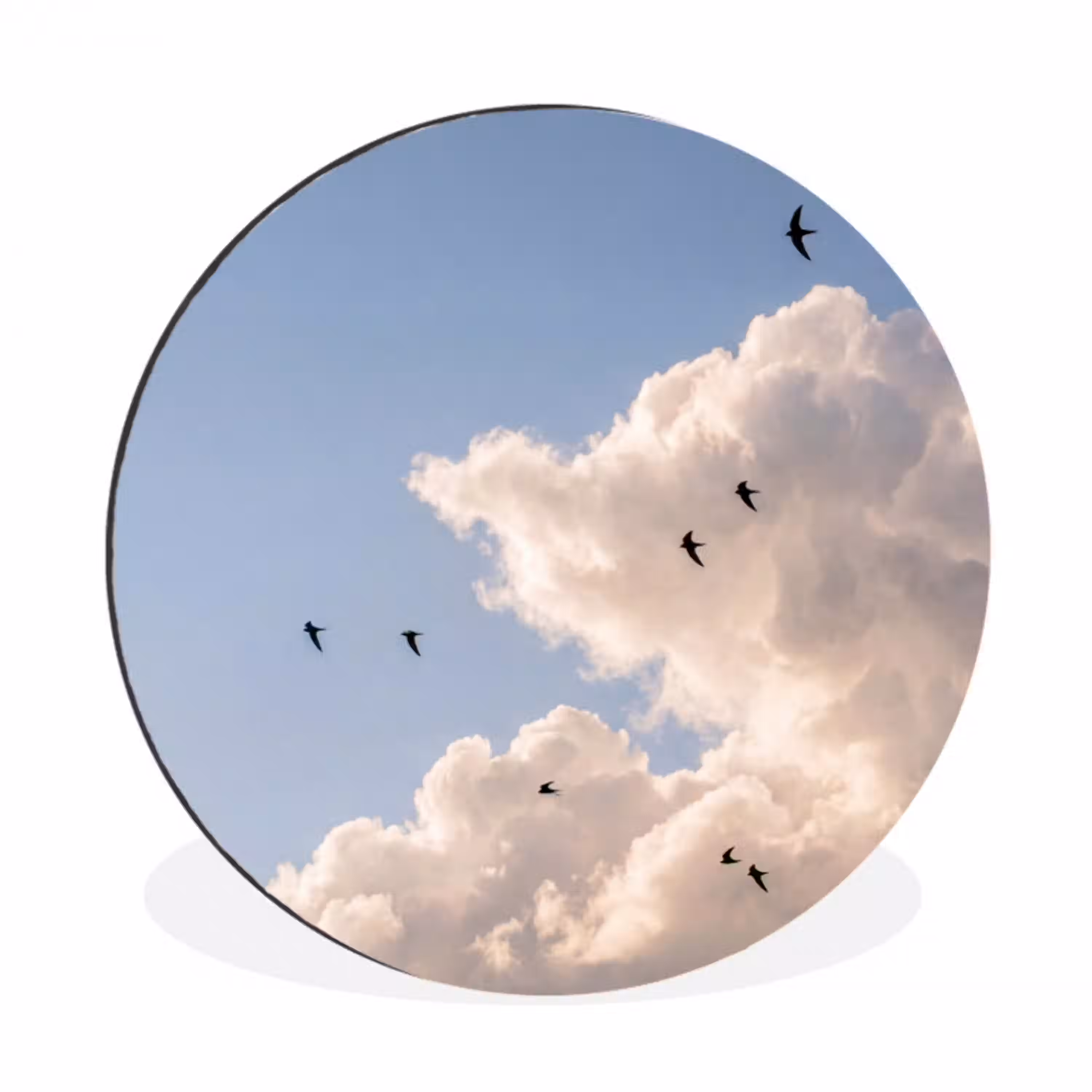 Vogel - Vlucht - Wolken - Natuur - Blauw Wandcirkel aluminium klein -3d