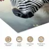 Zebra - Wilde dieren - Vlinder - Bloemen poster papier klein -closeup_NL