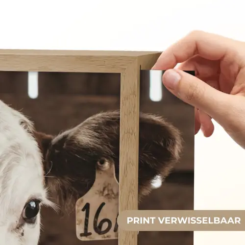 Kalf - Oormerk - Houten stal Light Box met batterij (Wandlamp) middel -USP_websiteprintNL