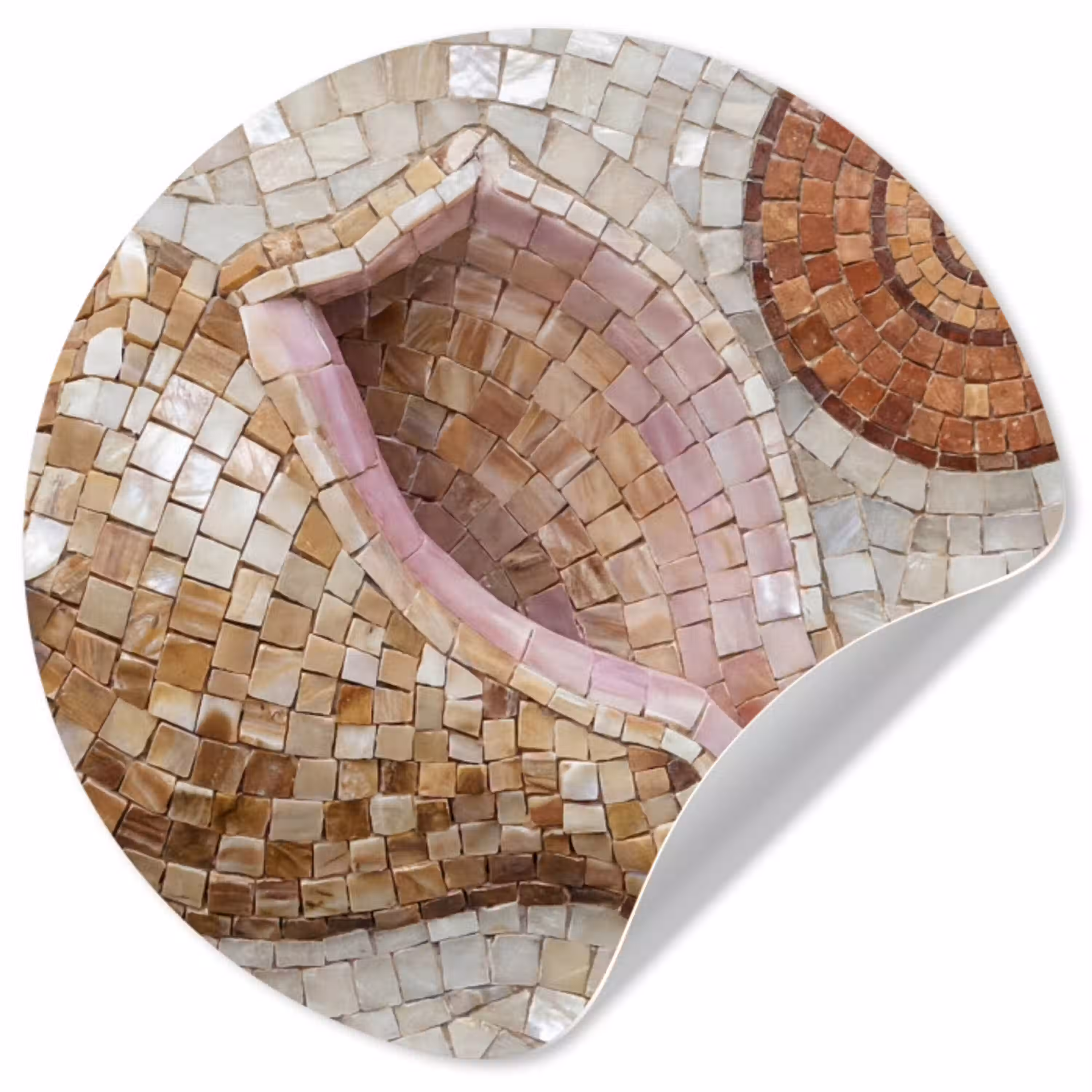 Schelp - Mozaïek - Zee - Beige - Modern Wandcirkel behangsticker klein -3d