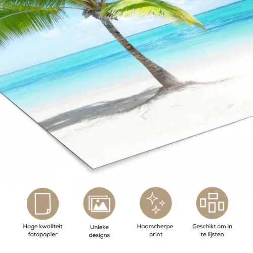 Palmboom - Strand - Zee - Zomer poster papier klein -closeup_NL