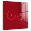 Minimalistisch - Lijnillustratie - Rood plexiglas 5mm klein -zzzproduct_nieuw