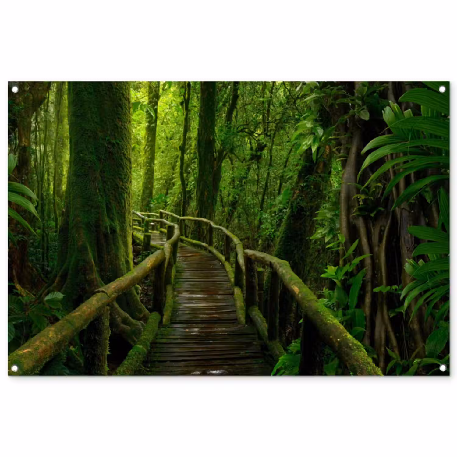 Tuinposter - Groene Oase van Rust