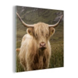 Schotse hooglander - Bergen - Grasveld plexiglas 5mm klein -z3d