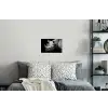 Dieren - Neushoorn - Zwart - Wit - Portret Muursticker klein -slaapkamer