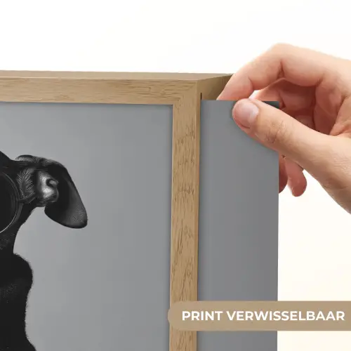 Coltrui - Hond - Bril - Mok Light Box met batterij (Wandlamp) middel -USP_websiteprintNL