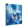 Blauw - Orchidee - Elegeant aluminium wit klein -3d