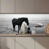 Paard - Auto - Zwart - Wit keuken achterwand 2 middel zz_3dshopping