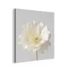 Bloem - Minimalistisch -Wit aluminium wit klein -3d