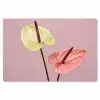 Bloemen - Anthuriums - Geel - Roze Placemat vinyl groot -zzsfeer1_Kitchenyeah-website