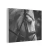 Paard - Schimmel - Portret PET vilt klein -3d