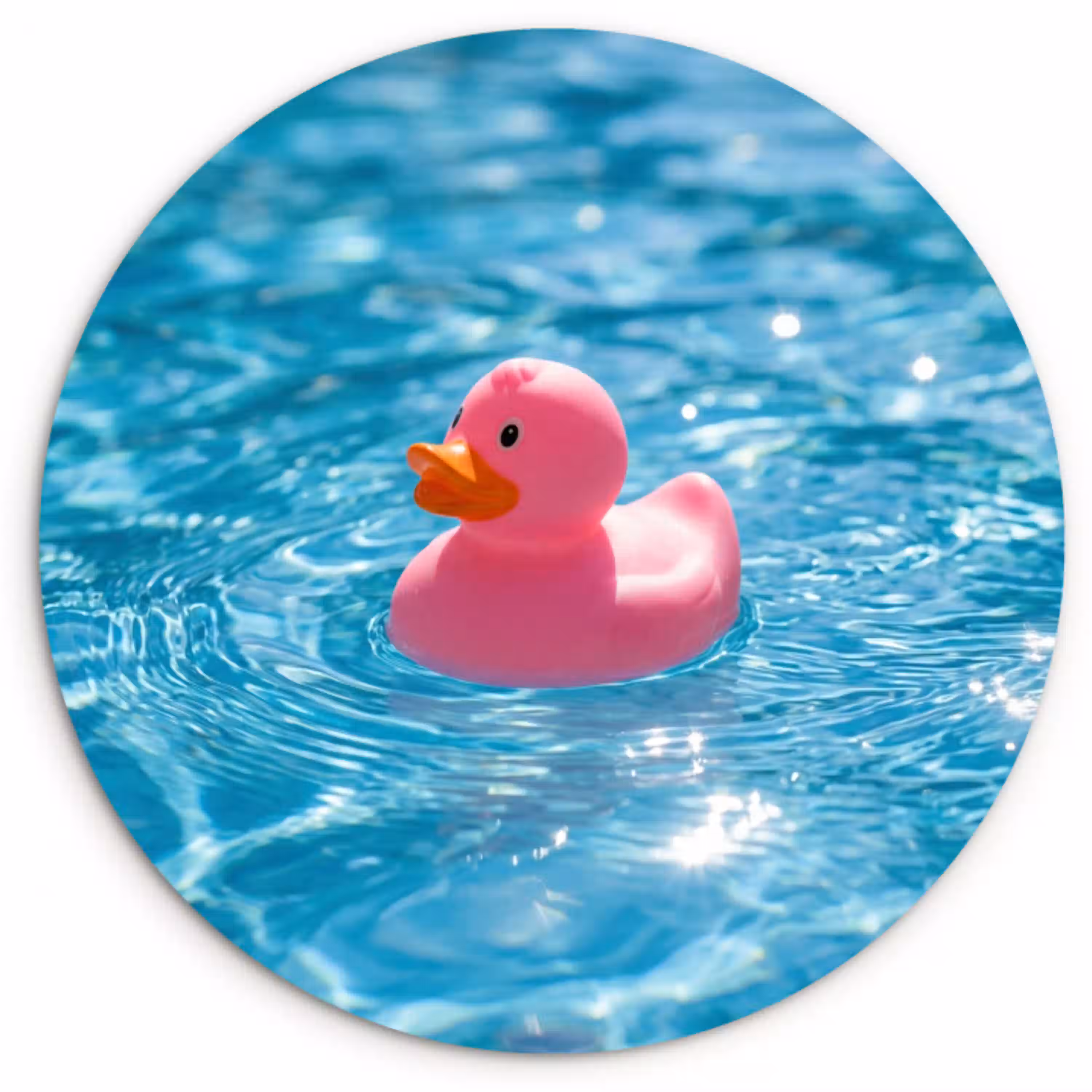 Badeend - Dobberend - Roze Wandcirkel kunststof plaat 5mm dik klein -3d