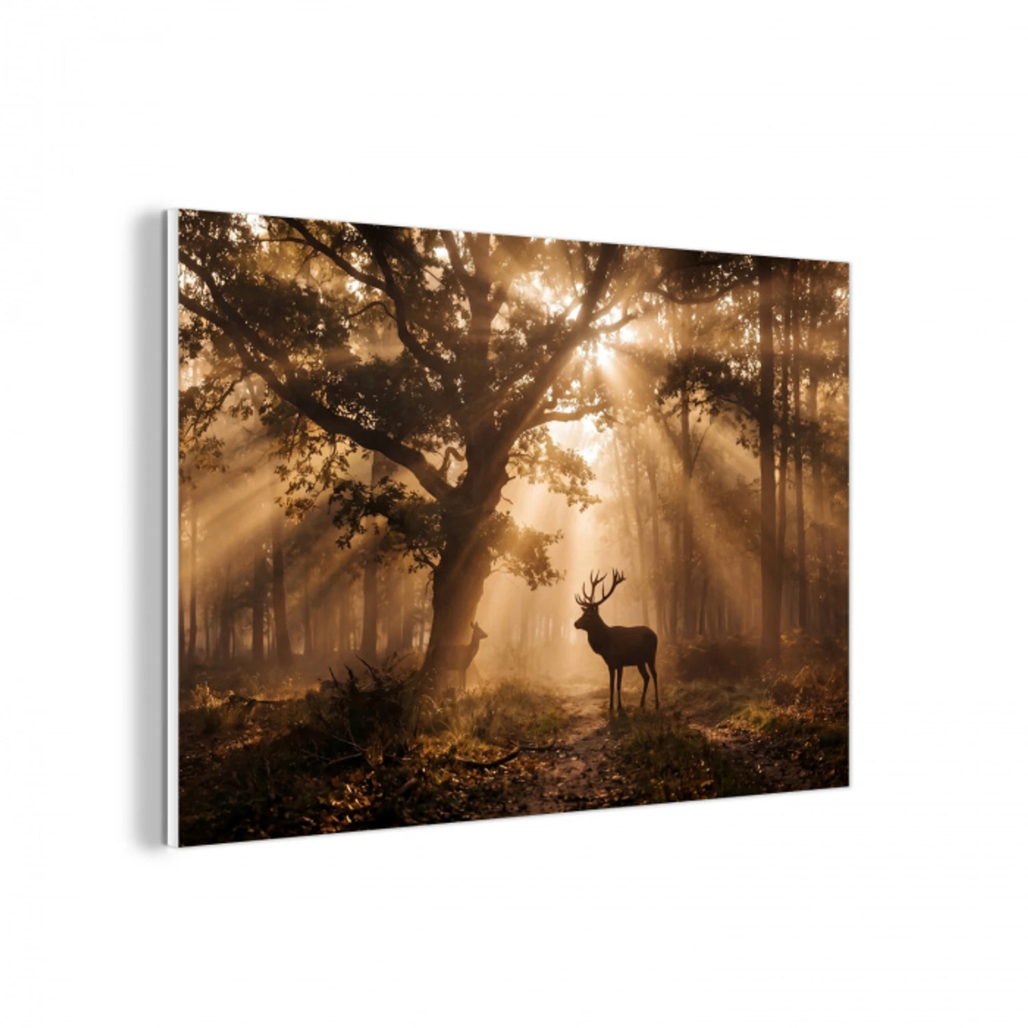 Hert - Bos - Mistig - Natuur - Goud forex 5mm xxl -3d