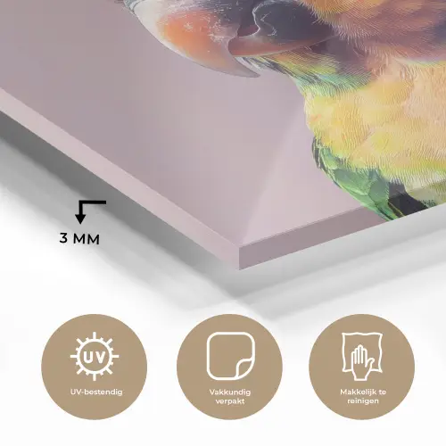 Papegaai - Koksmuts - Nieuwsgierig - Vogel plexiglas 5mm klein -sfeer2