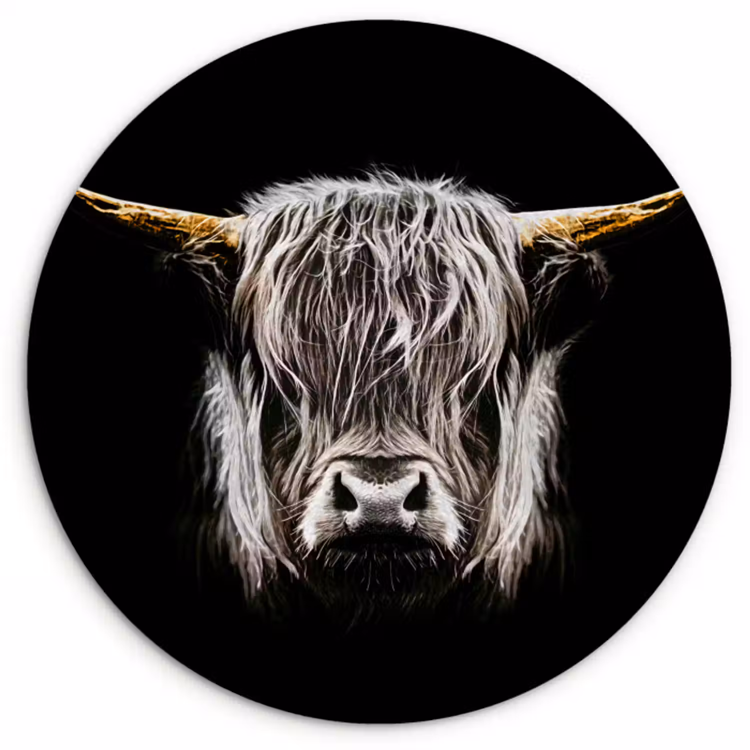 Muurcirkel - Schotse hooglander - Goud - Hoorns - Zwart wit - Koe - Dieren
