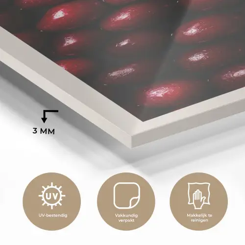 Kersen - Rood plexiglas 5mm klein -sfeer2
