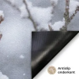 Vogel - Tak - Sneeuw - Winter Deurmat klein -antislip_NL