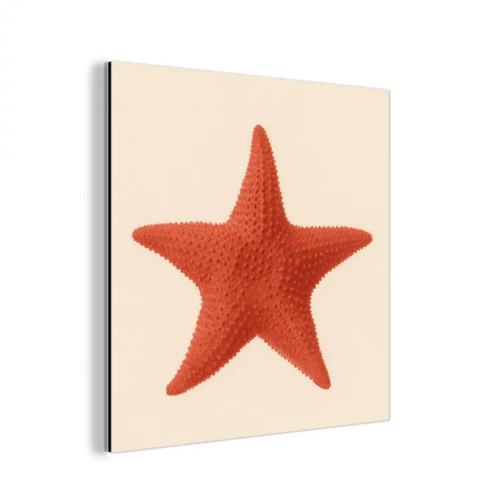 Zeester - Bobbels - Rood aluminium wit klein -3d
