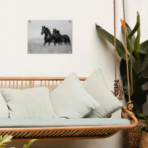 Paarden - Gras - Zwart - Wit tuinposter los doek klein -sfeer7