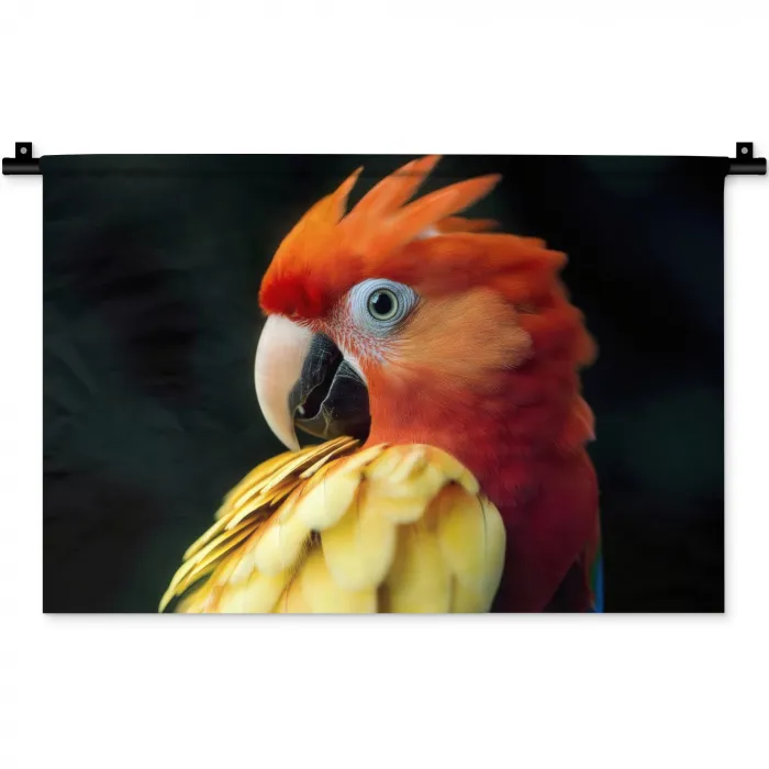 Close-up - Papegaai - Veren - Oranje Wandkleed katoen klein -zz3d