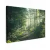 Bos - Pad - Zon - Bomen - Groen - Natuur Tuinposter op houten frame 2 cm dik klein -3d