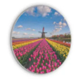 Tulpen - Holland - Molen - Kleurrijk Akoestische PET Vilt - Rond klein -3d