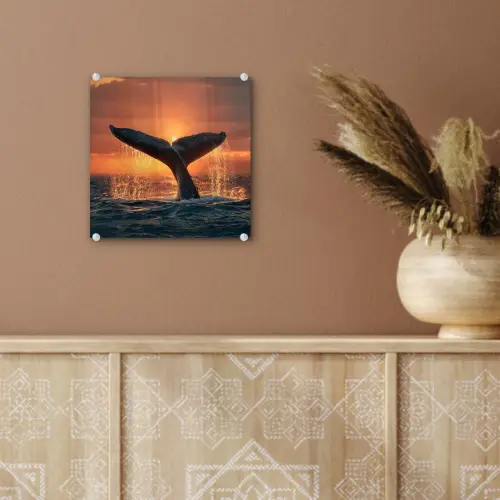 Walvis staart - Water - Zonsondergang plexiglas 5mm klein -sfeer5