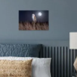 Kerkuil - Maan - Nacht poster papier klein -sfeer2