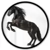 Zwart - Paard - Portret Fotolijst rond zonder passe partout klein -3d