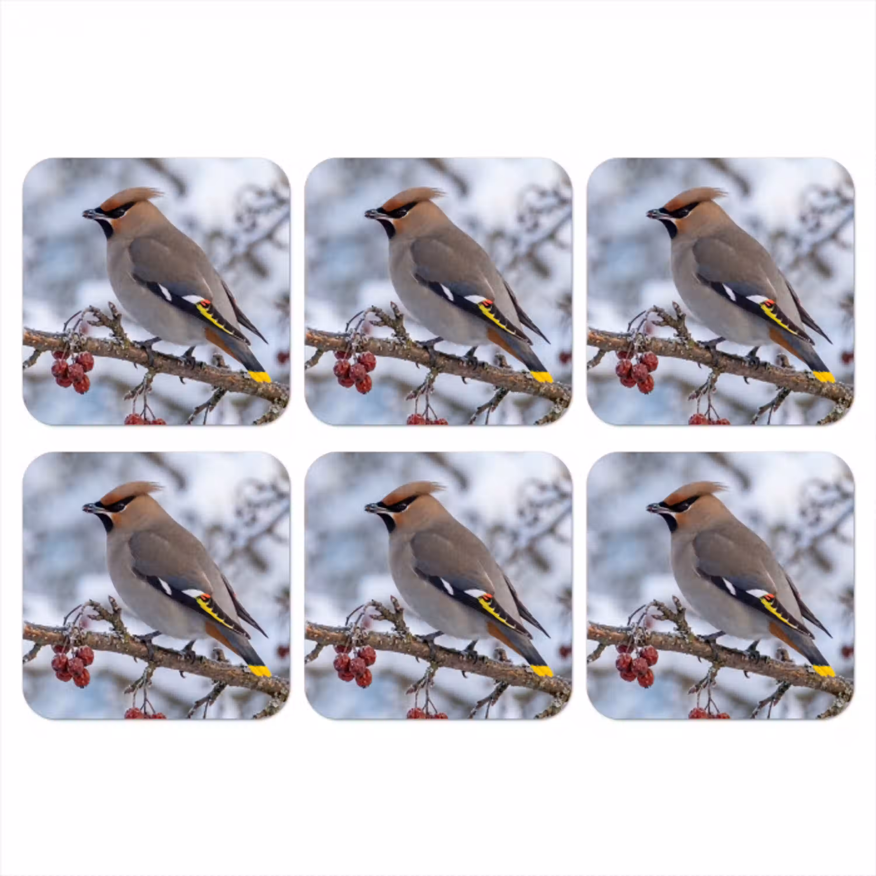 Pestvogel - Bessen - Winter - Natuur onderzetter kurk middel -3d