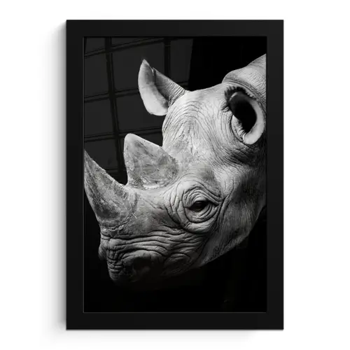 Dieren - Neushoorn - Zwart - Wit - Portret fotolijst zwart zonder passe partout klein -3d