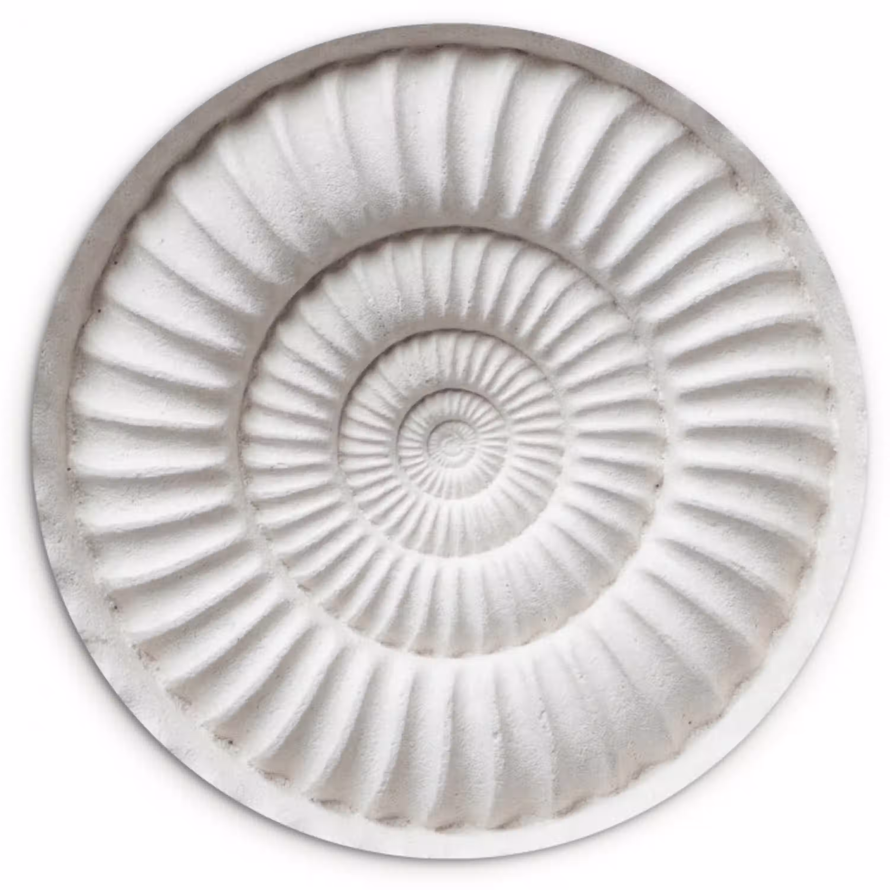 Schelp - Spiraal - Wit Wandcirkel kunststof plaat 5mm dik klein -3d