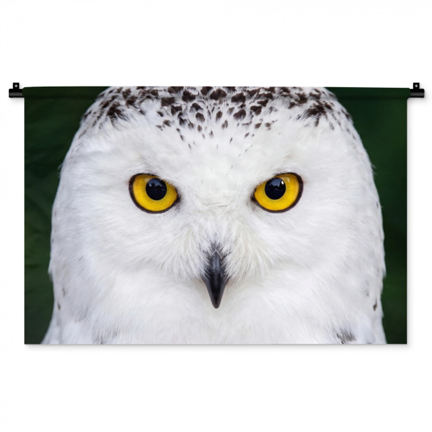 Sneeuwuil - Portret - Geel Wandkleed katoen middel -zz3d