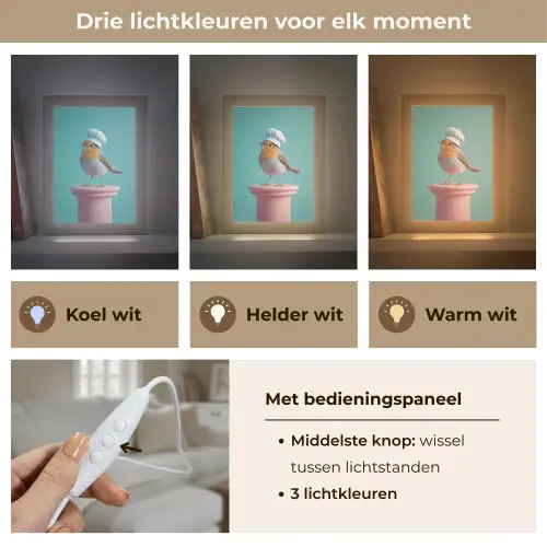 Roodborstje - Vogel - Koksmuts - Sokkel Light Box met kabel (Tafellamp) klein -USP_lichtkleurNL