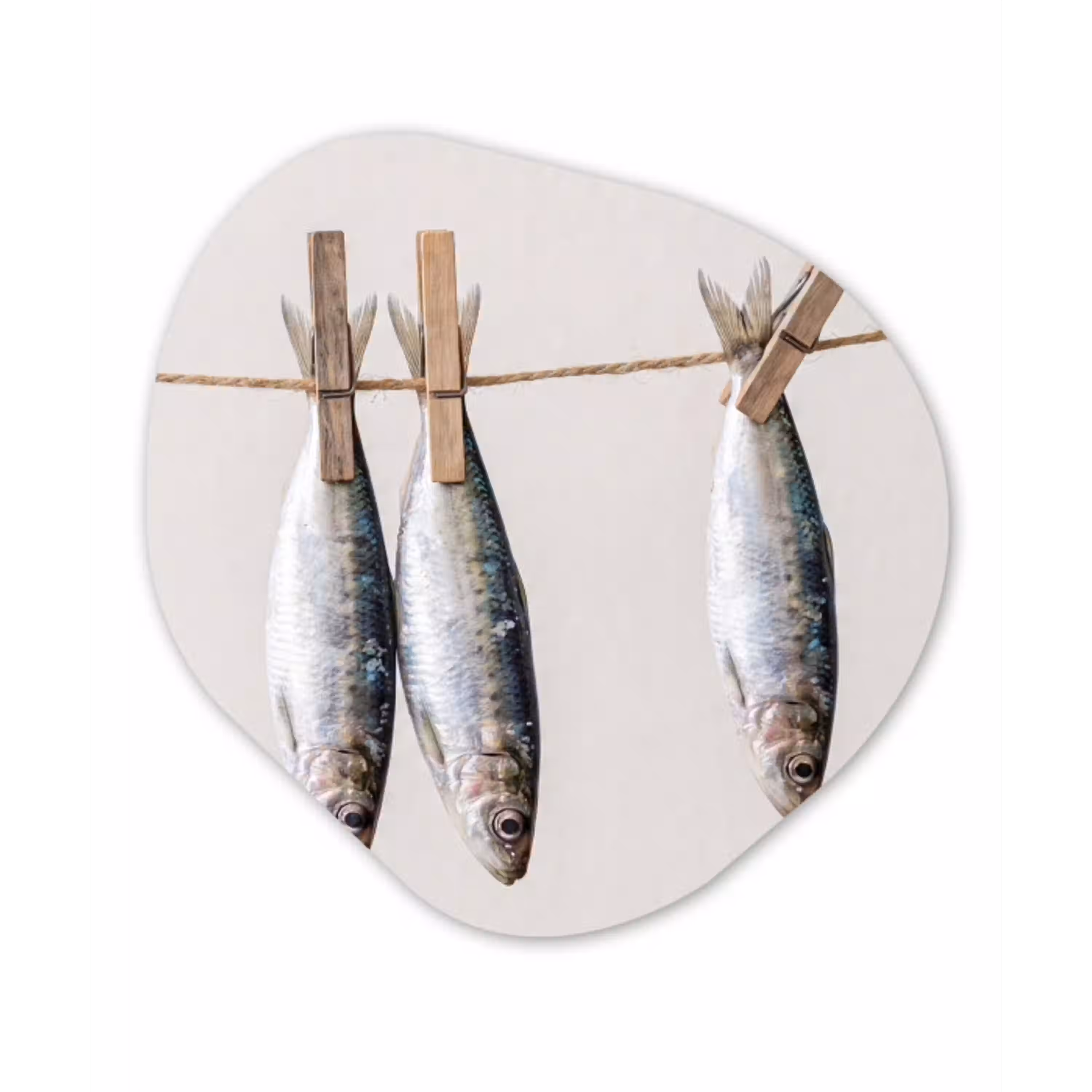 Vis - Hangend - Eten Wandcirkel Organisch Forex 3mm klein -3d