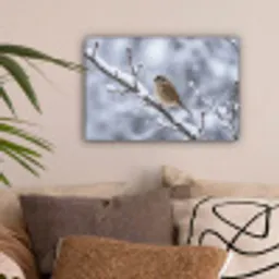 Vogel - Tak - Sneeuw - Winter canvas 2cm klein -sfeer1