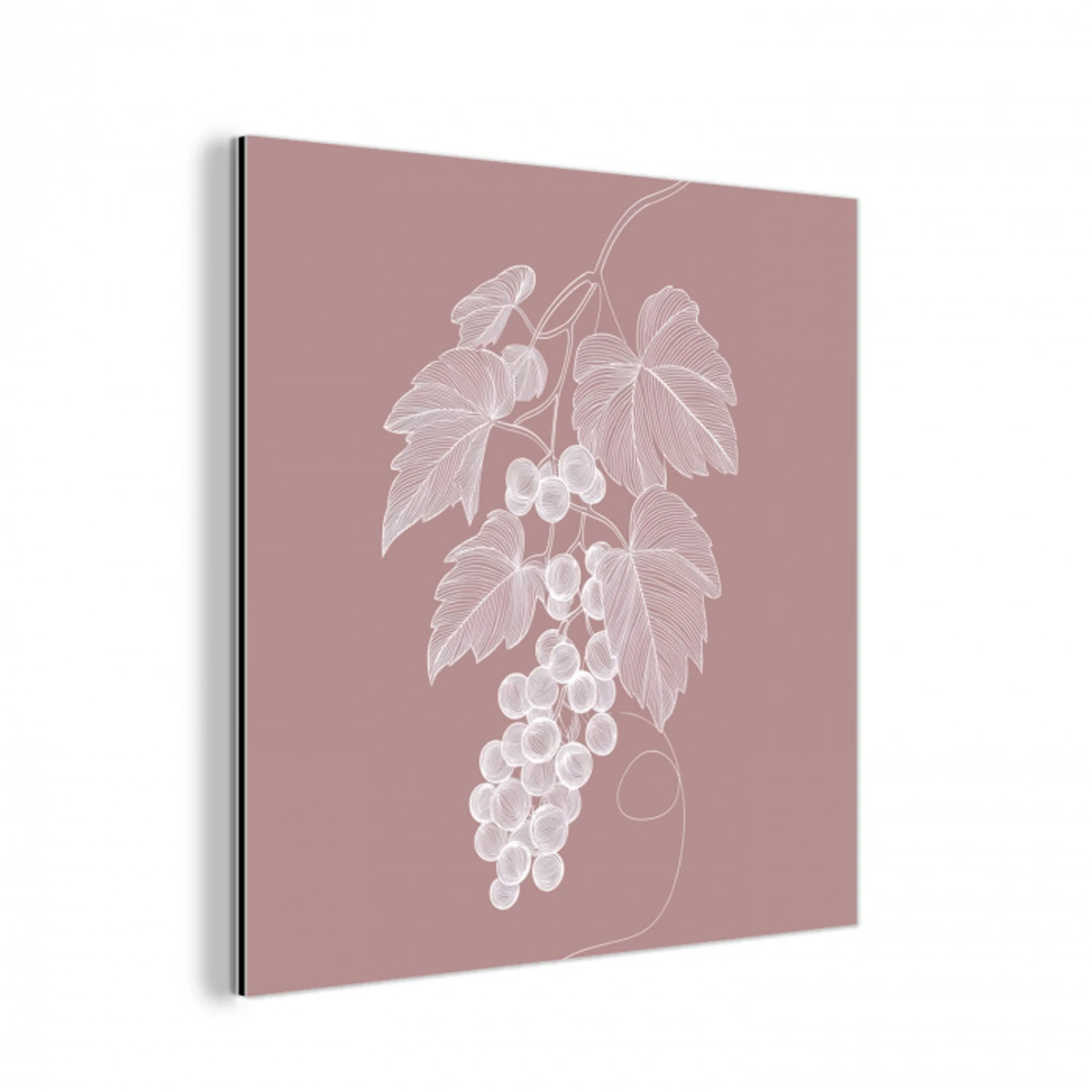 Tros - Druiven - Illustratie - Bladeren aluminium wit klein -3d