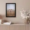 Longhorn - Grasveld - Dier fotolijst zwart zonder passe partout klein -sfeer5