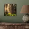 Bos - Gras - Zonlicht aluminium wit klein -sfeer2