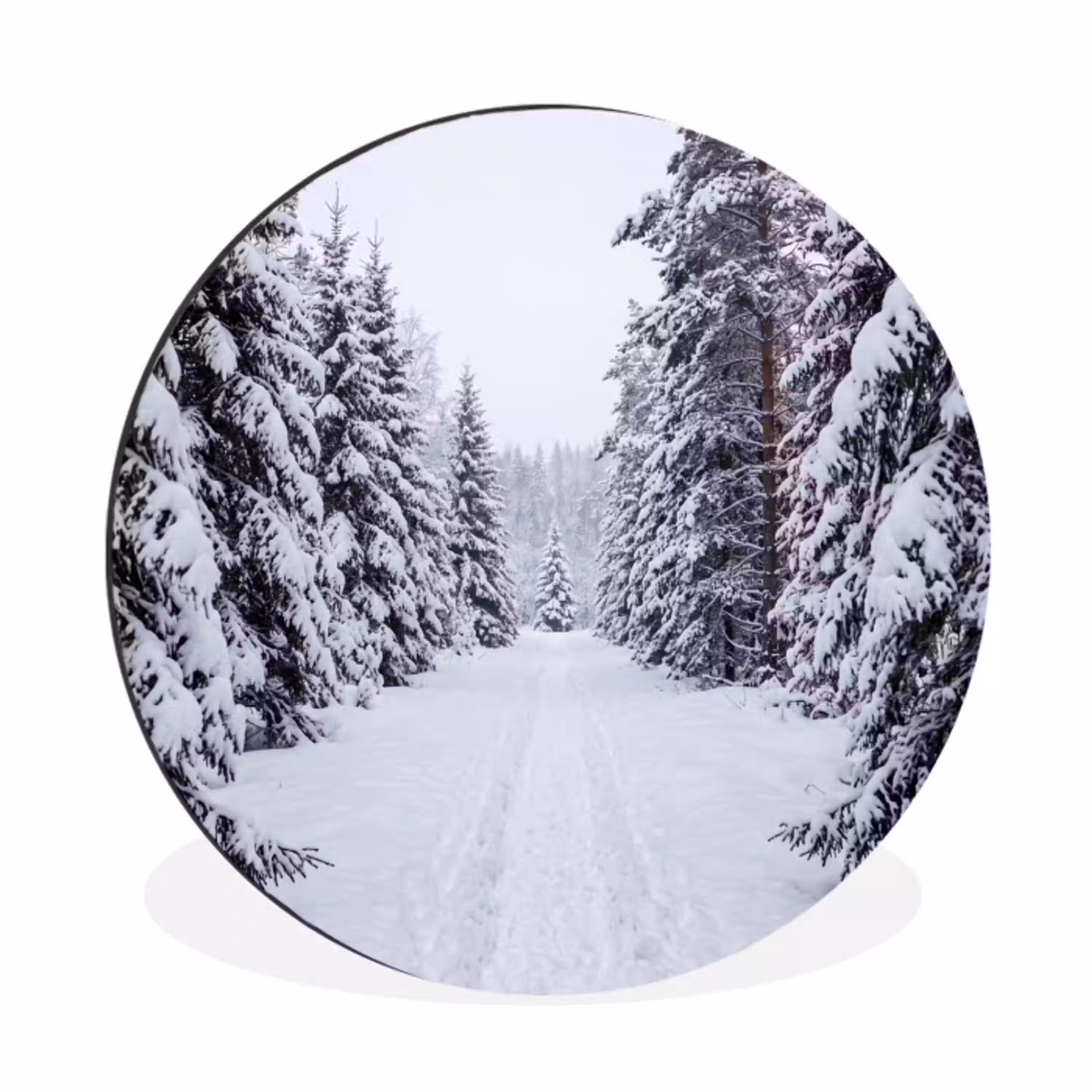 Bos - Winter - Sneeuw - Pad - Natuur Wandcirkel aluminium klein -3d