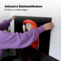 Ara - Portret - Rood Inductie beschemer met haakjes klein -ky-ophangen-de