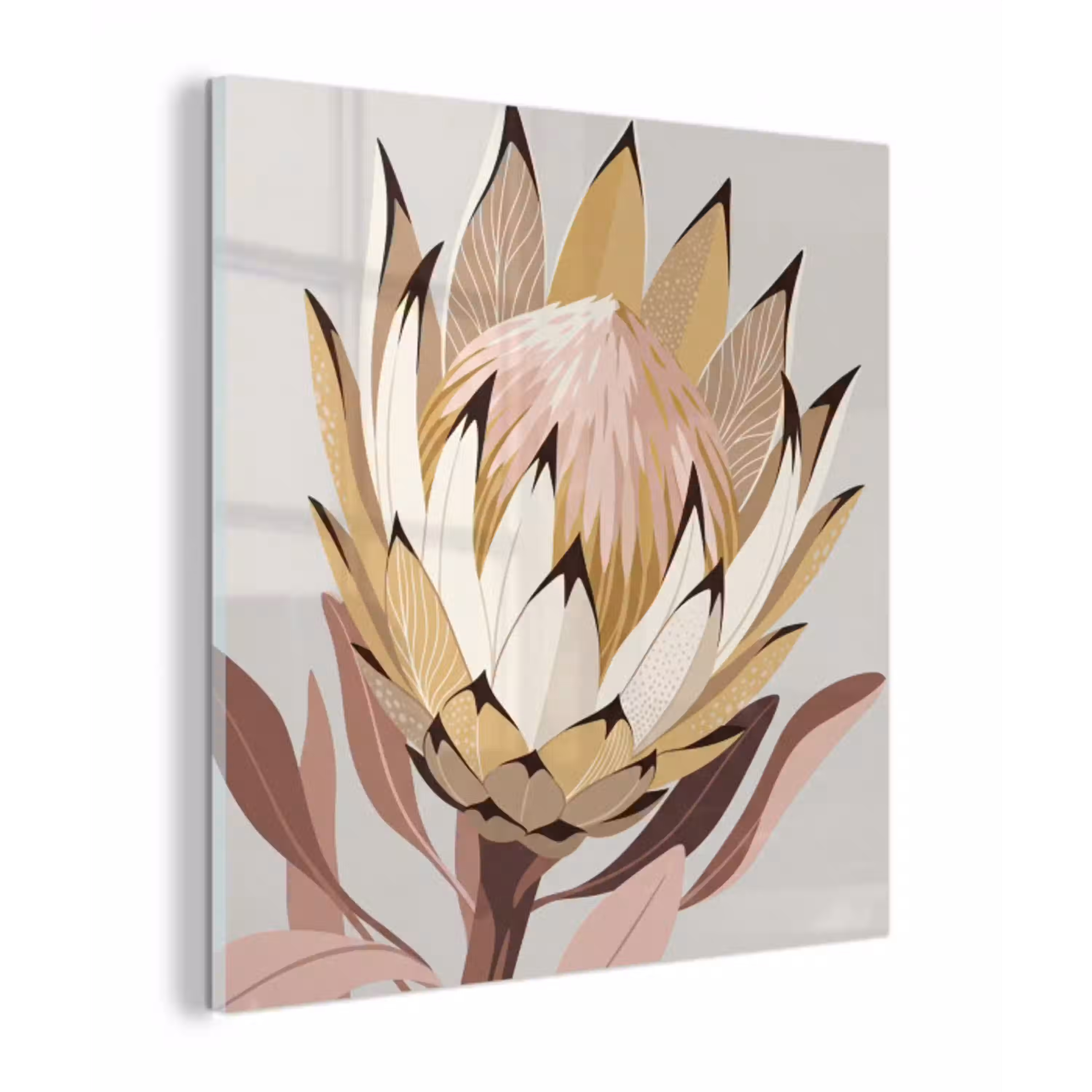 Protea - Bloem - Botanisch - Beige plexiglas 5mm klein -z3d