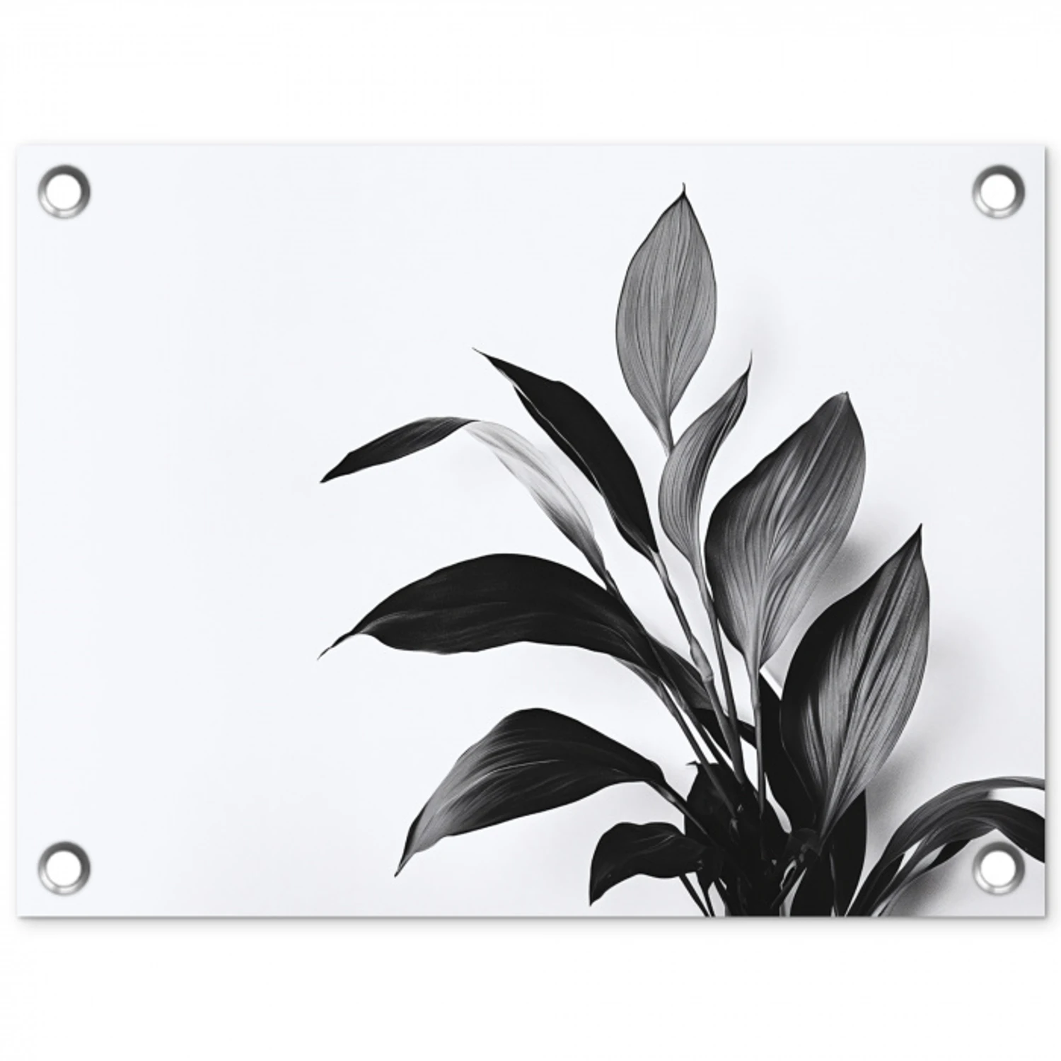 Plant - Bladeren - Minimalistisch - Zwart tuinposter los doek klein -3d