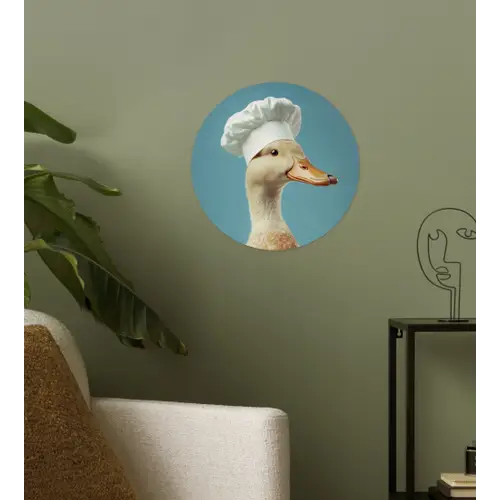 Eend - Koksmuts - Cute - Vogel Wandcirkel behangsticker klein -sfeer2