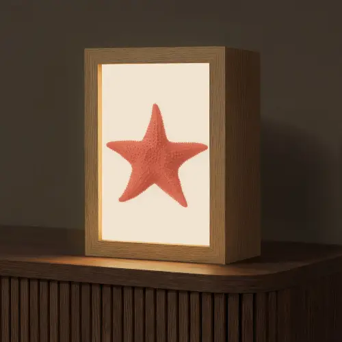 Zeester - Bobbels - Rood Light Box met kabel (Tafellamp) klein -z3d_website