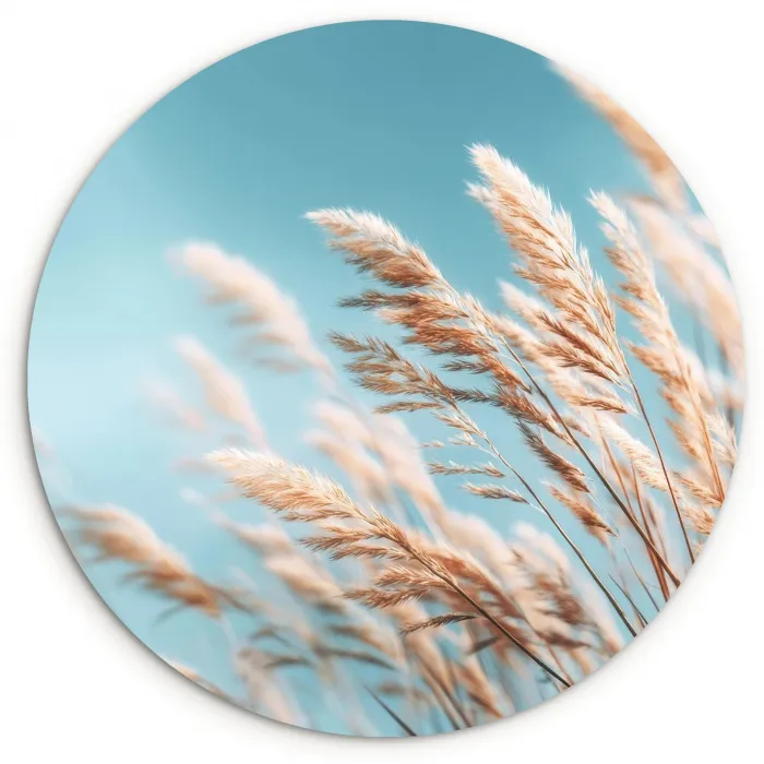 Siergras - Wind - Lichtbruin Wandcirkel kunststof plaat 5mm dik klein -3d