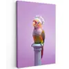 Papegaai - Koksmuts - Pilaar - Vogel Tuinposter op houten frame 2 cm dik klein -3d