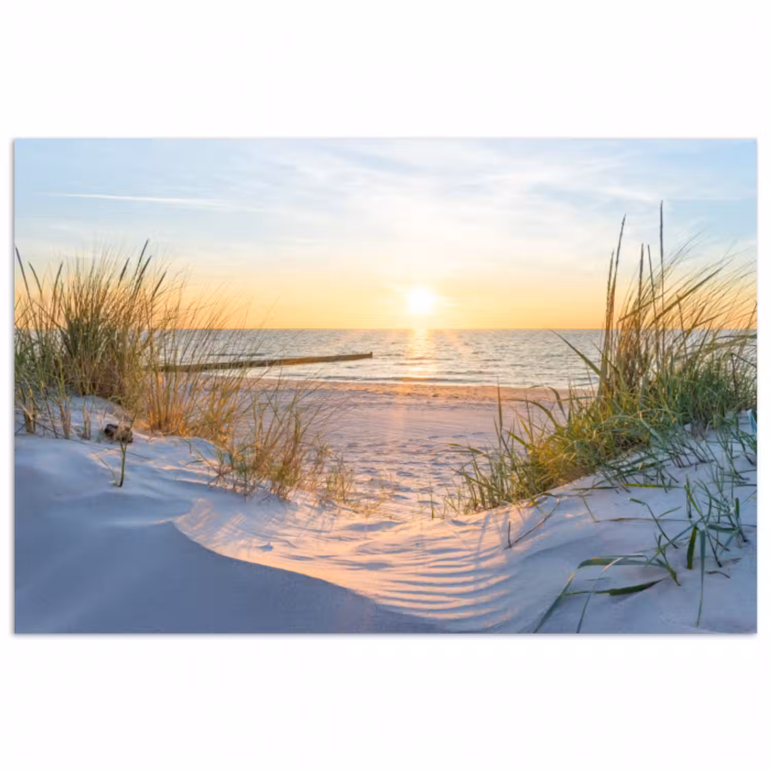 Poster - Strand - Sonne - Düne - Gras - Sand - Horizont