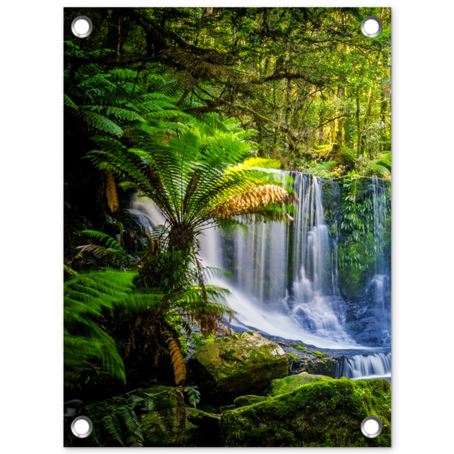 Waterval in het Regenwoud tuinposter los doek klein -3d