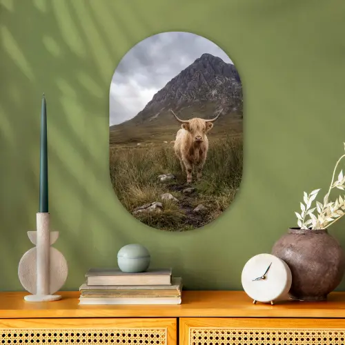 Schotse hooglander - Bergen - Grasveld Wandcirkel Ovaal Forex klein -sfeer2